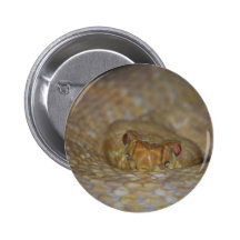 Albino Rattlesnake Button