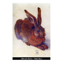 Albrecht Durer - Field Hare Poster posters