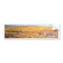 Alentejo na Primavera Bumper Stickers