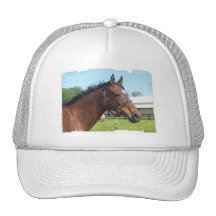 Alert Arab Horse Baseball Hat