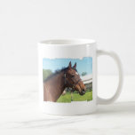 Alert Arab Horse Coffee Mug