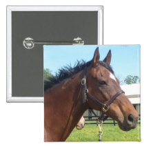 Alert Arab Horse Pin