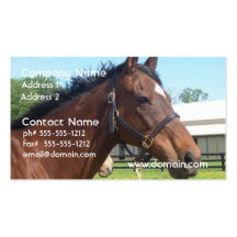 Alert Arabian Horse Business Card