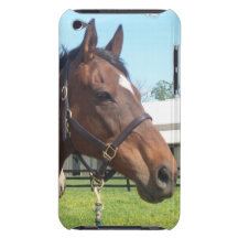 Alert Arabian Horse iTouch Case iPod Case-Mate Case
