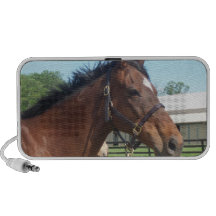 Alert Arabian Horse Portable Speakers