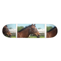 Alert Arabian Horse Skateboard skateboards