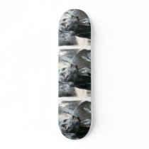 Alert Black Labrador Retriever Dog Skateboard