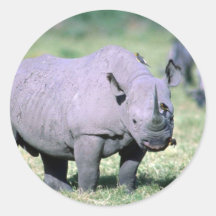 Alert Black Rhino Round Stickers