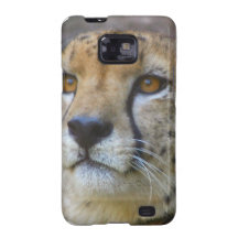 Alert Cheetah Samsung Galaxy Case