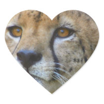 Alert Cheetah Stickers