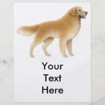 Alert Golden Retriever Flyer