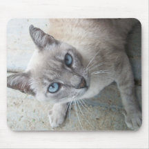 Alert Kitty Mousepads