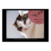 Alert Life Lessons From A Cat ACEO Art Cards