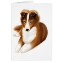 Alert Shetland Sheepdog Puppy Card