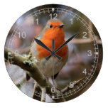 Alert  Winter Robin Wall Clock