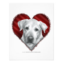 Alex, Yellow Lab with Heart Personalized Announcement