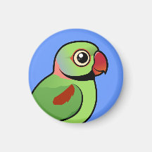 Alexandrine Parakeet Fridge Magnets