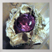 ALEXANDRITE AND SEASHELL POSTER
