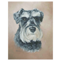 Alfie - miniature schnauzer flyers