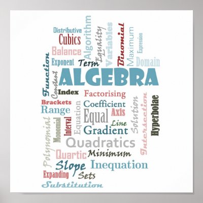 Algebra_Display Poster by sorana23