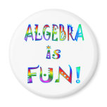 Algebra is Fun Fridge Magnet