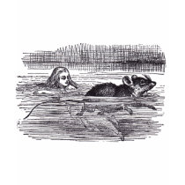 Alice and Mouse Swimming t-shirts