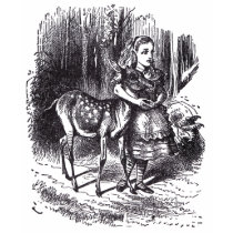 Alice and the Fawn t-shirts