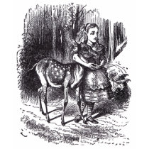 Alice and the Fawn t-shirts