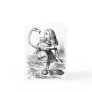 Alice and the Flamingo Greeting Cards