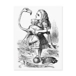 Alice and the Flamingo postcards