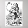 Alice and the Flamingo Poster