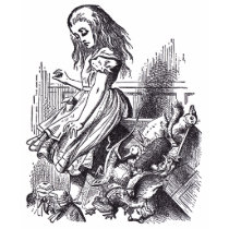 Alice and the Jury t-shirts