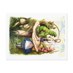 ALICE ASKS ADVICE FORM A CATERPILLAR postcards