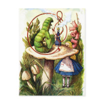ALICE ASKS ADVICE FORM A CATERPILLAR