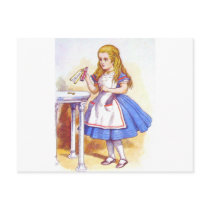 Alice Drinks Colour