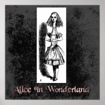 Alice In Wonderland 12 Poster