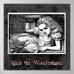 Alice In Wonderland 15 Poster