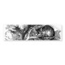 Alice in Wonderland; Cheshire Cat with Alice Bumper Stickers