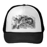 Alice in Wonderland; Cheshire Cat with Alice Mesh Hat