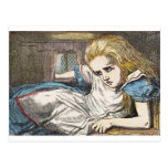 Alice in Wonderland: EAT ME Too Big Postcard