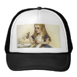 Alice in Wonderland fun Mesh Hats