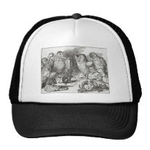 Alice in Wonderland Gather Round Hats