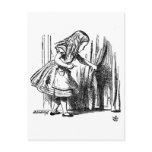 Alice in Wonderland  Small Door to Wonderland Post Card