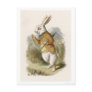 Alice in Wonderland: White Rabbit in Color Postcards