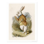 Alice in Wonderland: White Rabbit in Colour Postcards