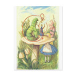 Alice Meets the Caterpillar Post Card