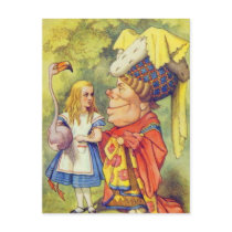 Alice & the Duchess Colour