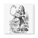 Alice trying to play croquet with a flamingo
