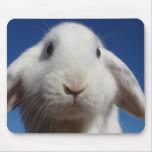 Alice - White Lop Rabbit Mouse Mat