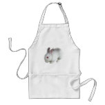 Alice's rabbit aprons